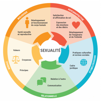 Graphique globalite sexualite
