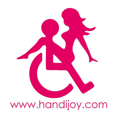 Logo handijoy